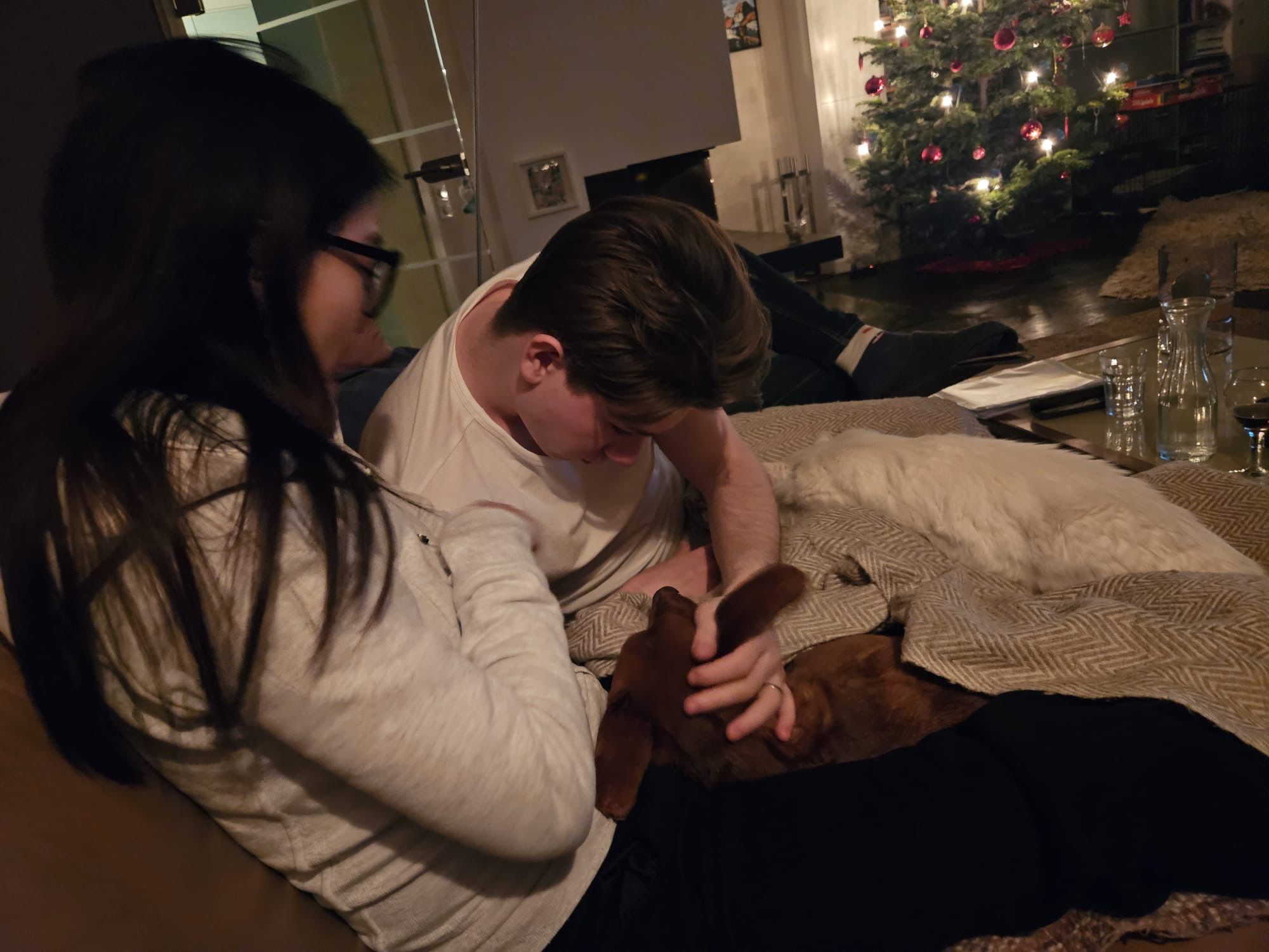 Cozy cuddles on the couch